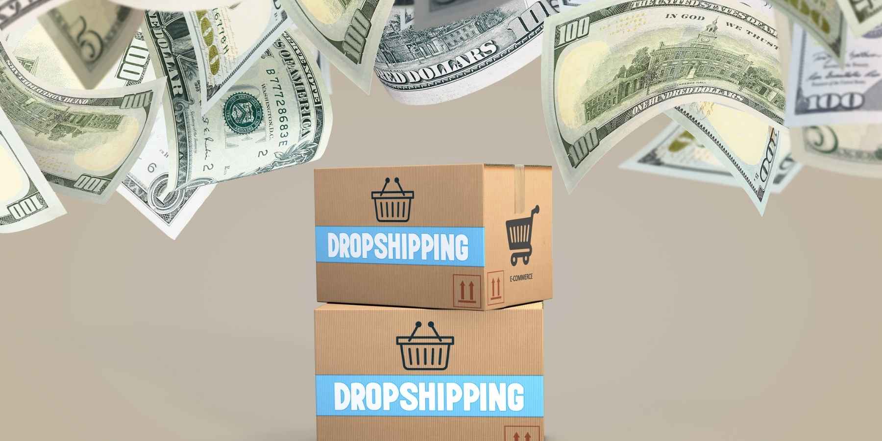 Ecommerce Drop Shipping: Shipping and Delivery Best Practices You Need ecommerce drop shipping dollars